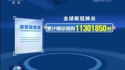 世卫：全球新冠肺炎确诊病例超1130万例