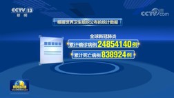 世卫：全球新冠肺炎确诊病例超2485万