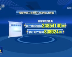 世卫：全球新冠肺炎确诊病例超2485万